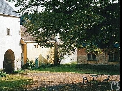 Schattenseele (14)